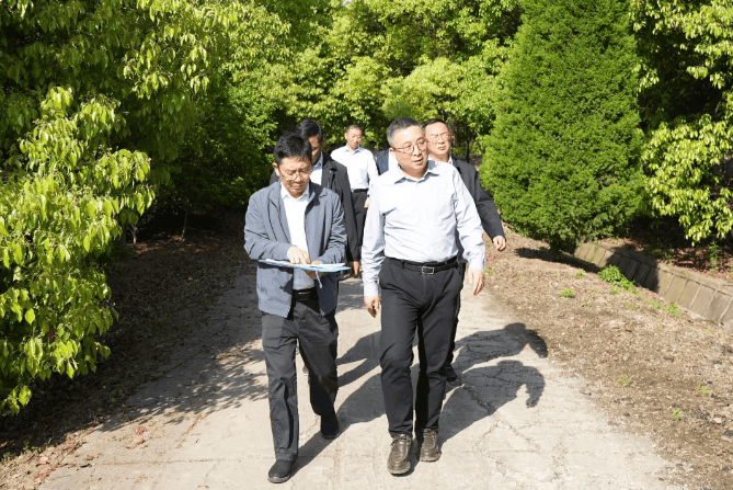 全力推动生态环境质量持续改善！区领导实地调研生态环境保护工作 