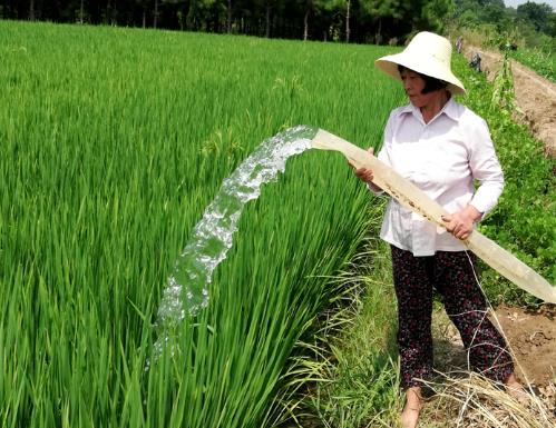 “用水管得细，庄稼长得好”（锚定现代化 改革再深化）