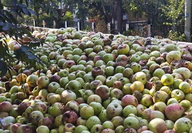 浓缩果汁用的都是烂苹果？市监局回应：抽检合格