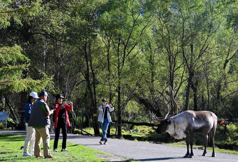 走进阿尔山国家级旅游度假区