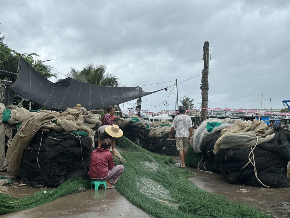 让这座城市尽快恢复如初”——海口市台风后救灾见闻