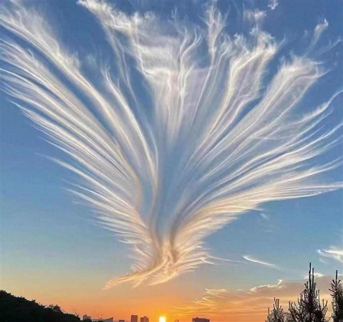 黄石天空现‘金色凤凰’，市民晨跑意外捕获奇景！