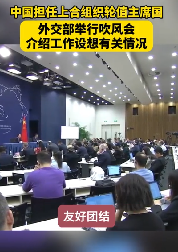 蔡伟稳阵脚，白天闯经济：中国外交新力量登场