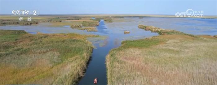 水美蟹水美蟹肥、渔船穿梭 新疆巴州博斯腾湖螃蟹养殖迎来好“丰”景肥、渔船穿梭 新疆巴州博斯腾湖螃蟹养殖迎来好“丰”景