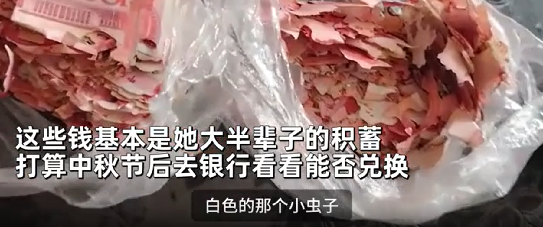 老人2万积蓄藏土里被虫蛀，家属：是老人一生积蓄