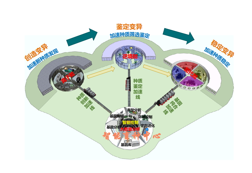从躬耕农桑到智能育种，一“种”力量不断生长