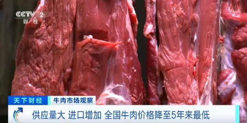 国庆买牛肉，价格亲民笑哈哈，养殖户心里苦哈哈！