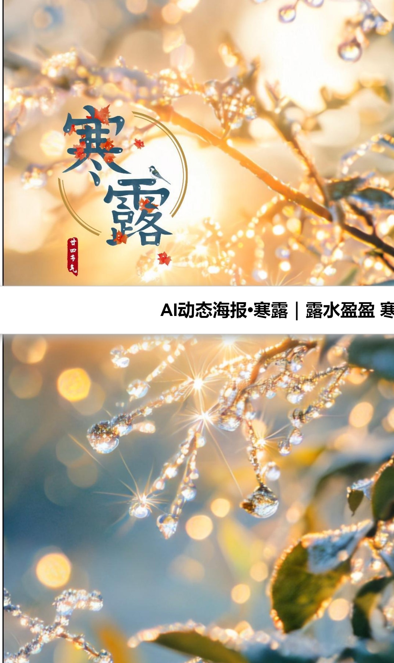 露水盈盈 寒气渐重