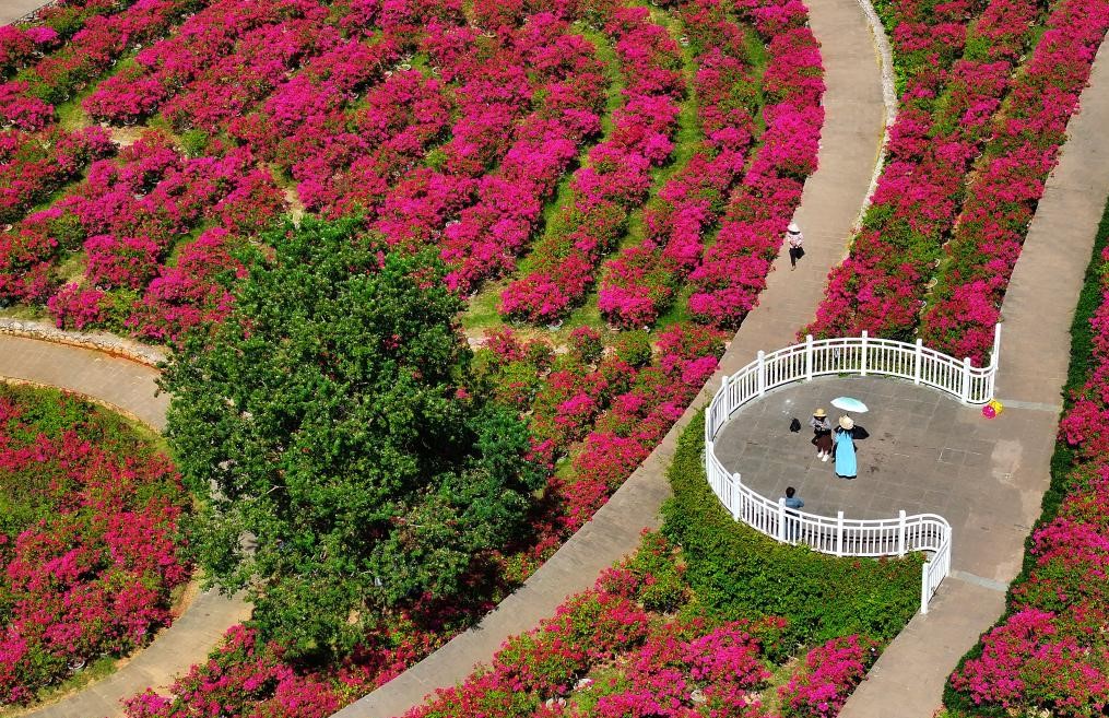 南宁：秋日好风光