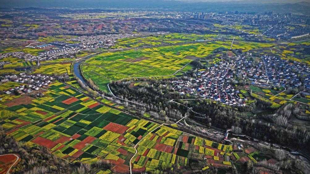 新时代中国调研行之看区域·西部篇丨“朱鹮之乡”的新名片