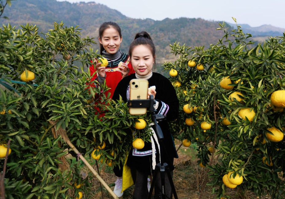 西部城乡共发展 产业振兴富民生