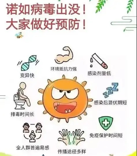 中国疾控中心：科学预防诺如病毒感染