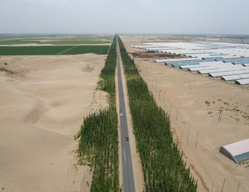 我国最大沙漠实现3046公里生态屏障全面锁边“合龙”