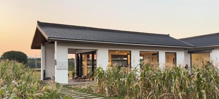 希望田野飘出咖啡香 浙江乡村如何“永旺”