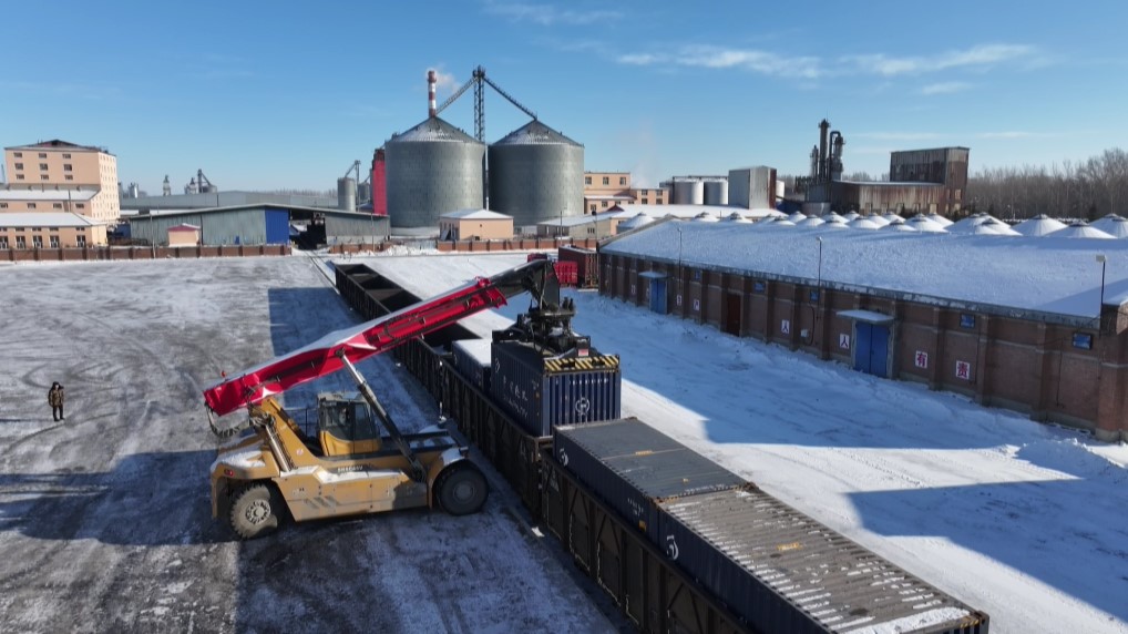 产粮第一大省黑龙江进入粮食收储加工旺季