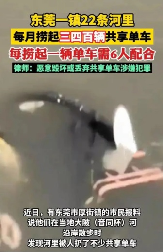 共享单车遭殃！东莞厚街三四百辆被丢河里！