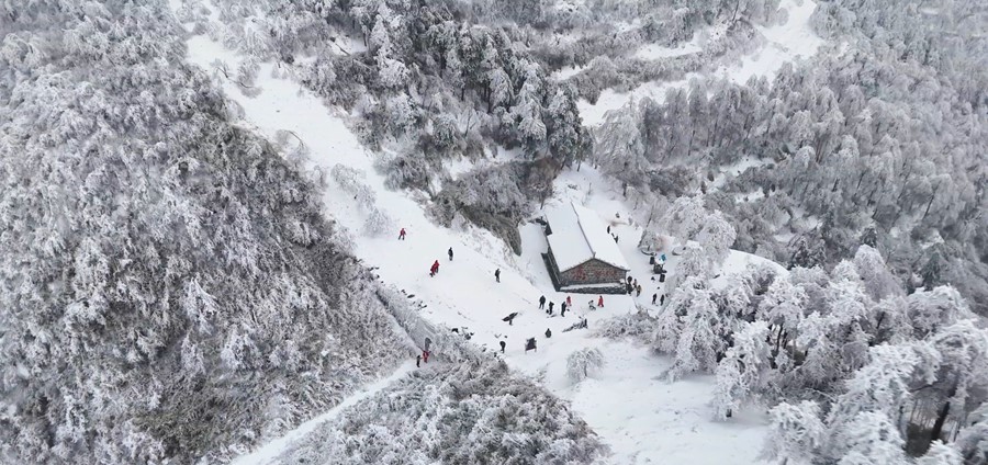 雾凇漫山枝头挂 古道冬景更胜春