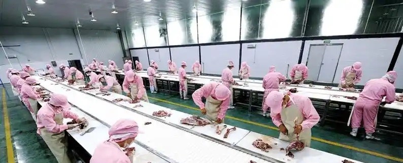 四川南江：“一只羊” 带出一个全产业链