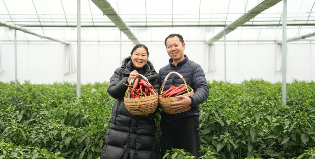 大学生夫妇返乡的“火辣”事业