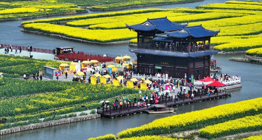 江苏兴化：千垛花开迎客来