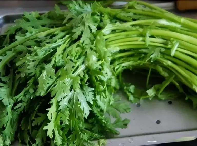 春天这菜正当季，人称“养肝菜”，脆嫩鲜香营养高，别错过了