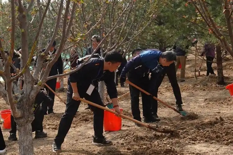 共建美丽中国 2025年义务植树活动举行