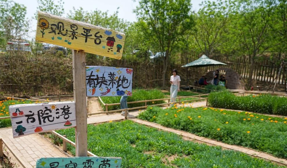 休闲庭院激发消费新活力