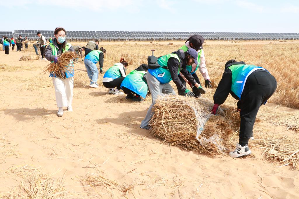 报效祖国 建功西部丨防沙治沙“新青年” 大漠深处“绘绿洲”
