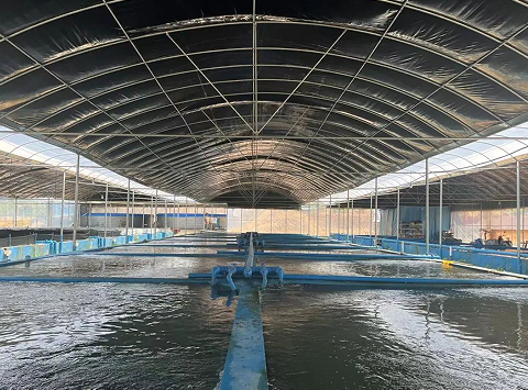 鲈鱼产业游出乡村振兴新活力——崇仁县乡镇