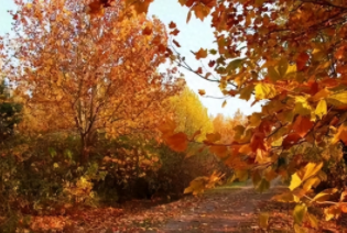 秋游正当时：错峰出行热度高，中老年成主力