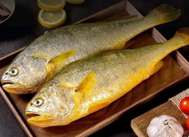 宁德大黄鱼占全国八成市场 科技育种成产业“芯”引擎