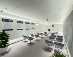 上海虹桥：打造企业出海与人才汇聚的双引擎