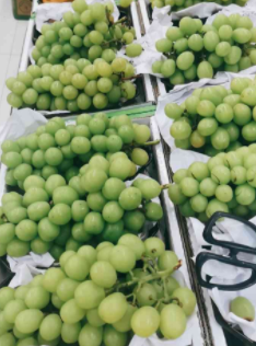 乡贤反哺促共富 浙江上虞探索"乡亲助乡兴"新路径