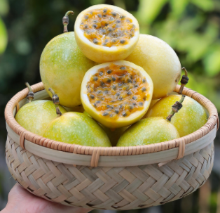 广西返乡青年直播卖百香果，月销百万助村民脱贫