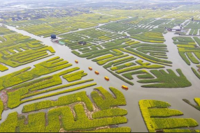 筑牢粮食安全根基 我国灌溉工程体系覆盖耕地超10.8亿亩