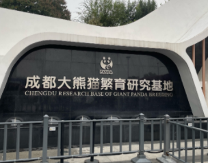 赛事之余邂逅大熊猫 网球明星成都行展现城市多元魅力