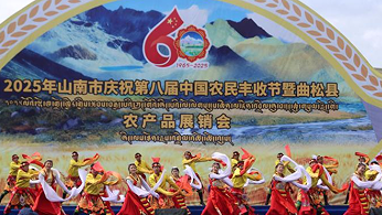 西藏金秋丰收图景：曲松展销火热 岗嘎苹果飘香