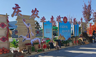 村BA全国总决赛宁夏折桂,冠军奖品牵走“万元黄牛”