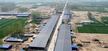 山东“土特产”闯世界：猪小肠变身高附加值医药原料