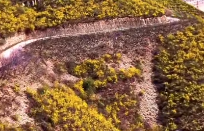 电力赋能药材产业 山西临汾乡村振兴展新貌