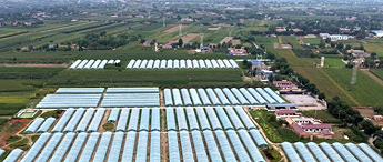 黄土高原特色产业迎丰收 多元模式助农增收