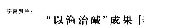 “以渔治碱”成果丰