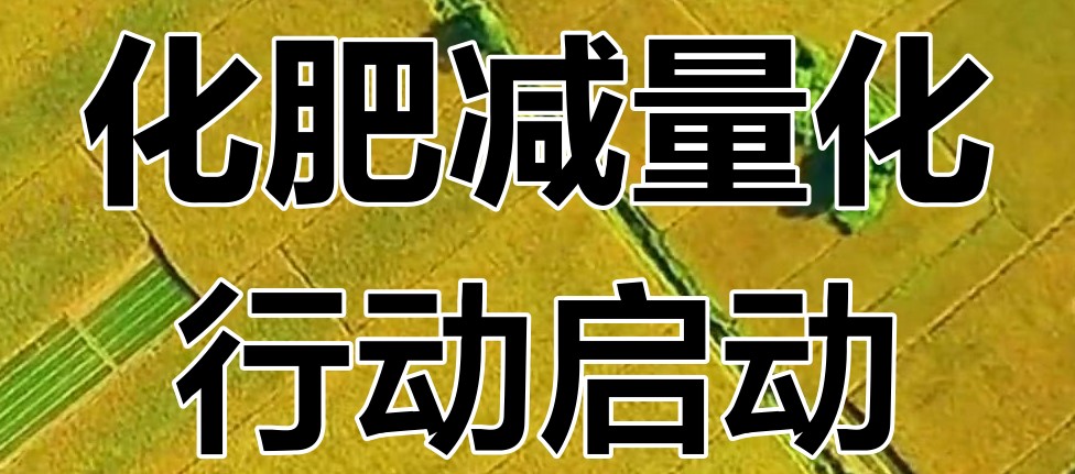 陕西靖边引进农业新技术推动产业升级