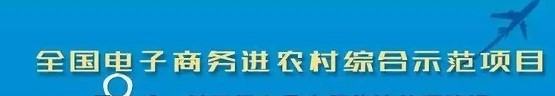 河南封丘 “消费嘉年华” 电商直播收官