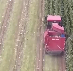 山西河津秋粮抢收见闻:烘干设备助农减损保归仓