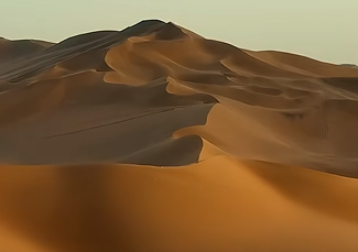 银川双节消费市场活力迸发 五大品牌引领消费新热潮