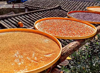 福建三明柯山畲族村“晒秋”正当时 绘就乡村多彩丰收图景