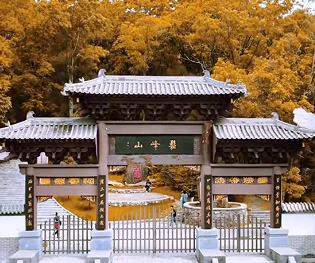 双节消费市场活力释放 服务与商品消费同步升温