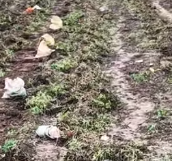 河南全力应对阴雨挑战 保障“中原粮仓”秋收有序推进