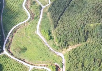 三明探索森林“四库”联动 谱写绿色惠民新篇章